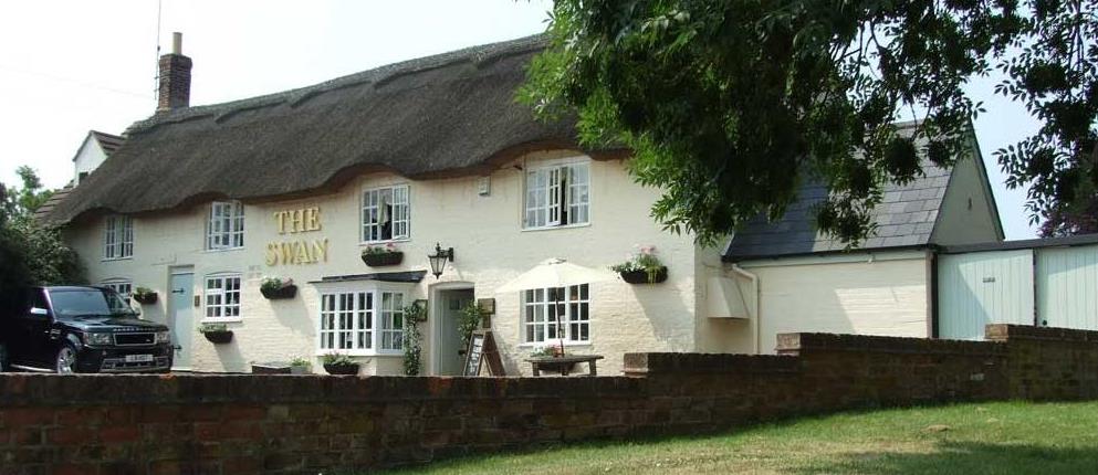 The Swan